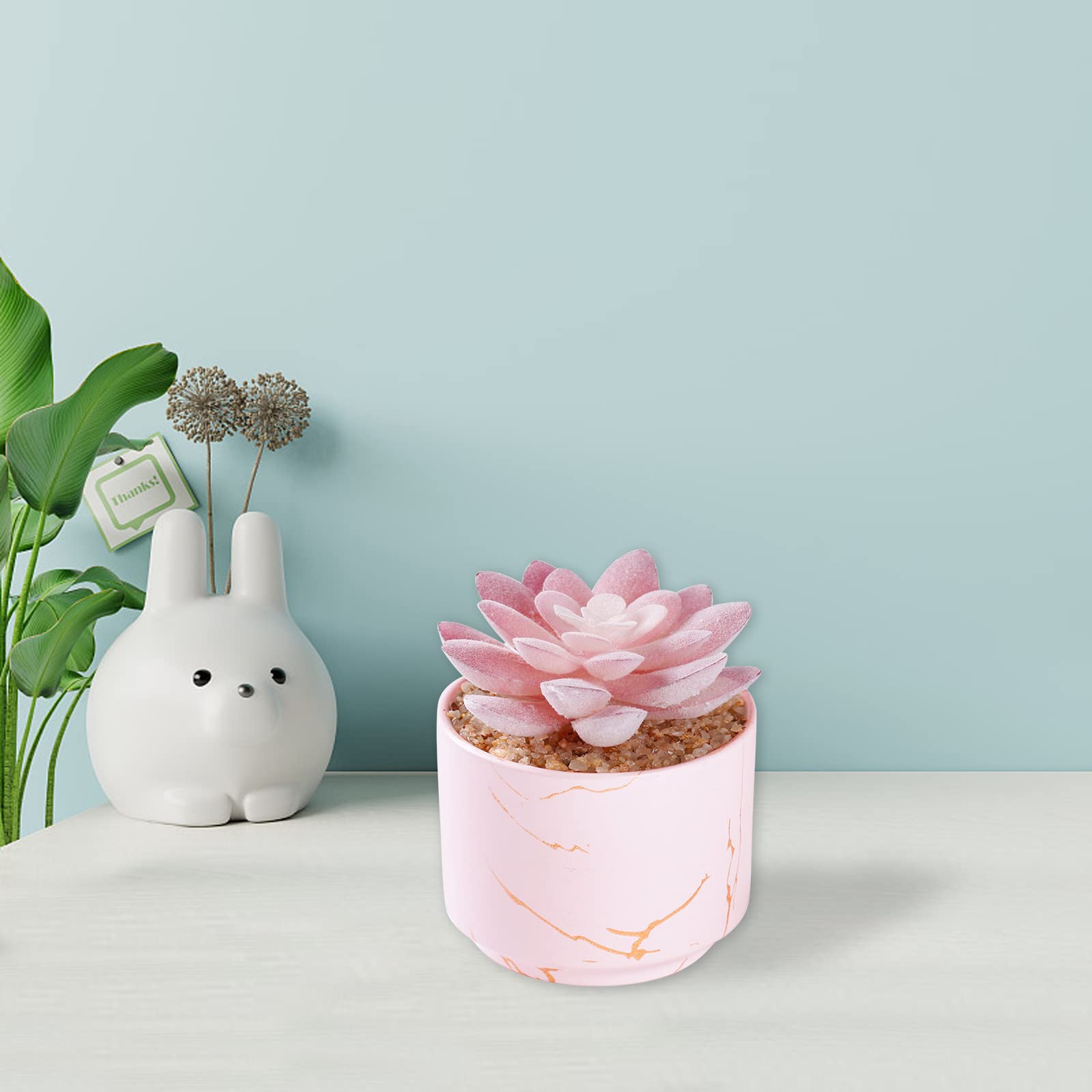 中型多肉植物セット ピンクグラデーション*5 Amazon｜ZENIDA 多肉植物 ピンク セラミックポットにかわいい偽